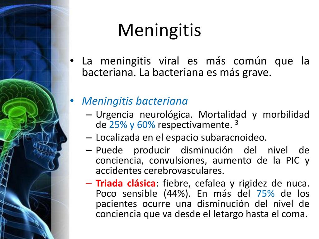 Meningitis La meningitis viral es más común que la bacteriana. La bacteriana es más grave. Meningitis bacteriana.