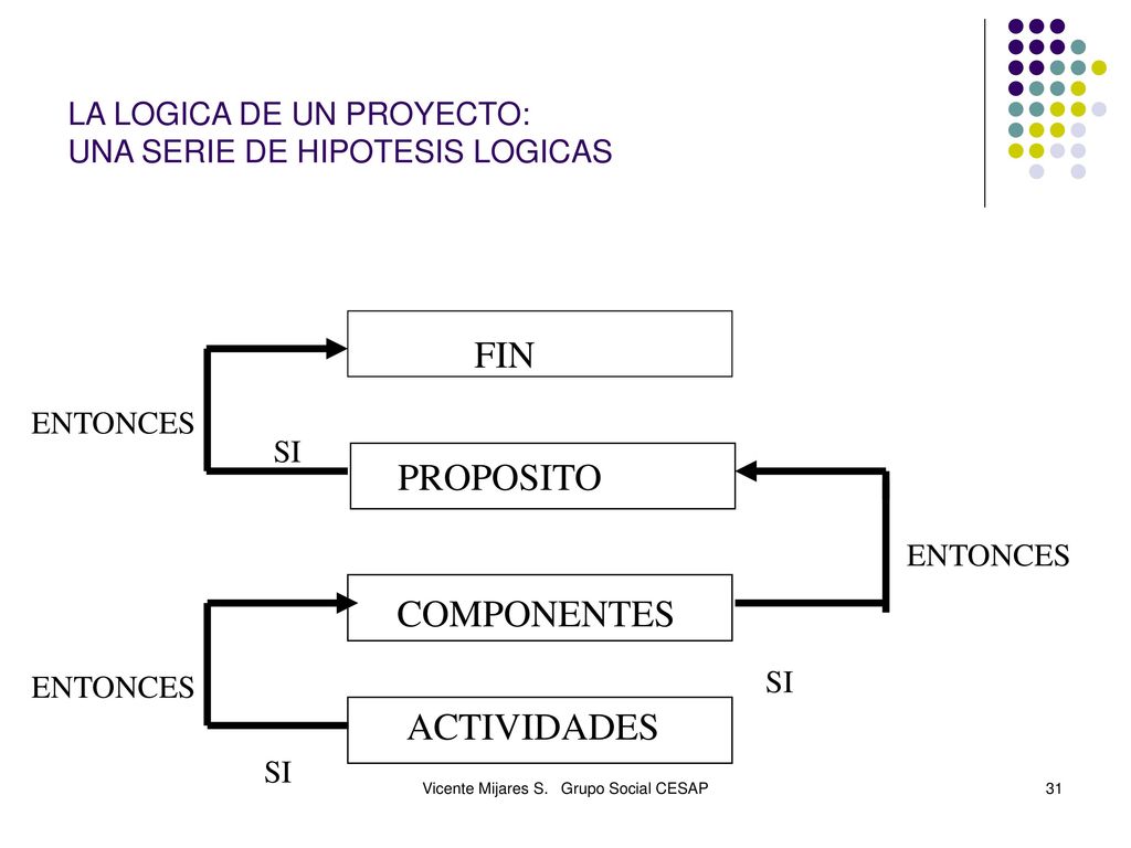 LA LOGICA DE UN PROYECTO: UNA SERIE DE HIPOTESIS LOGICAS