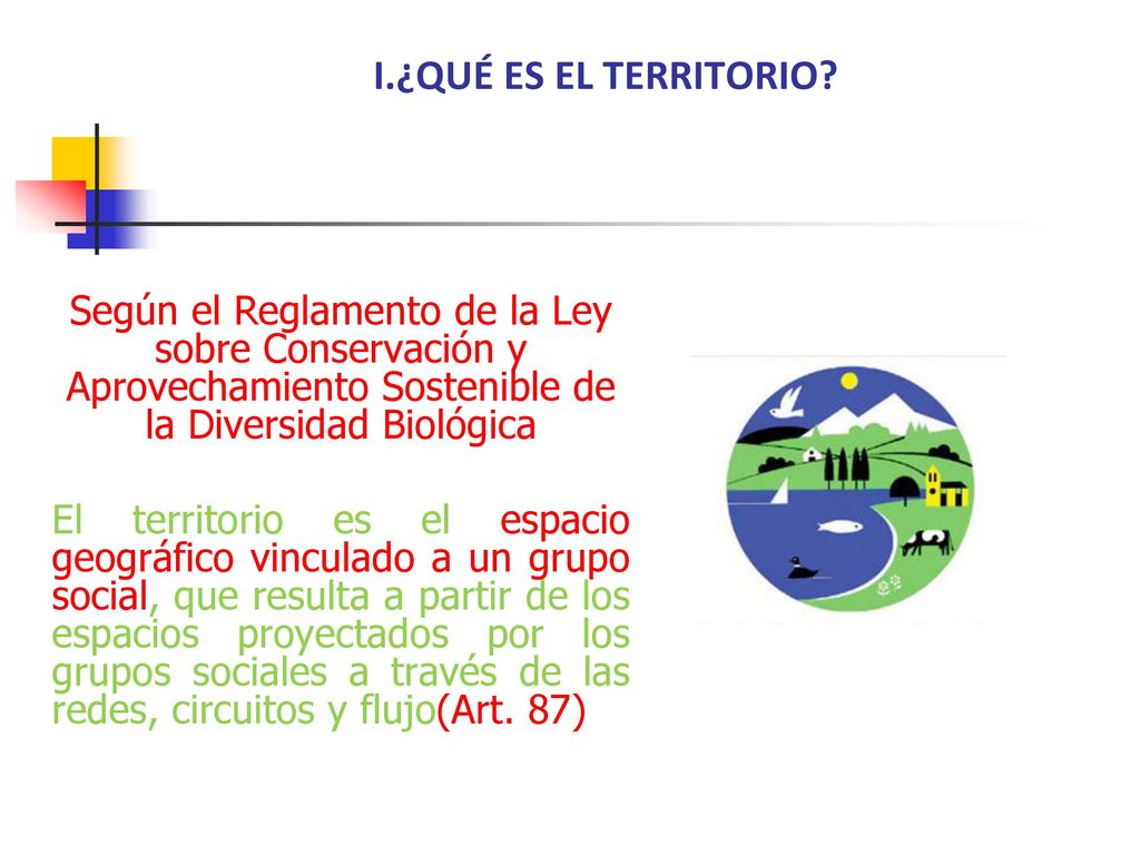 I.¿QUÉ ES EL TERRITORIO Según el Reglamento de la Ley sobre Conservación y Aprovechamiento Sostenible de la Diversidad Biológica.