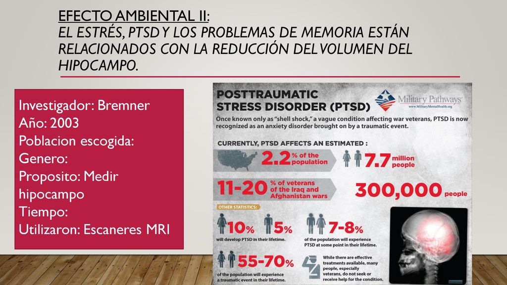 EFECTO AMBIENTAL II: El estrés, PTSD y los problemas de memoria están relacionados con la reducción del volumen del hipocampo.