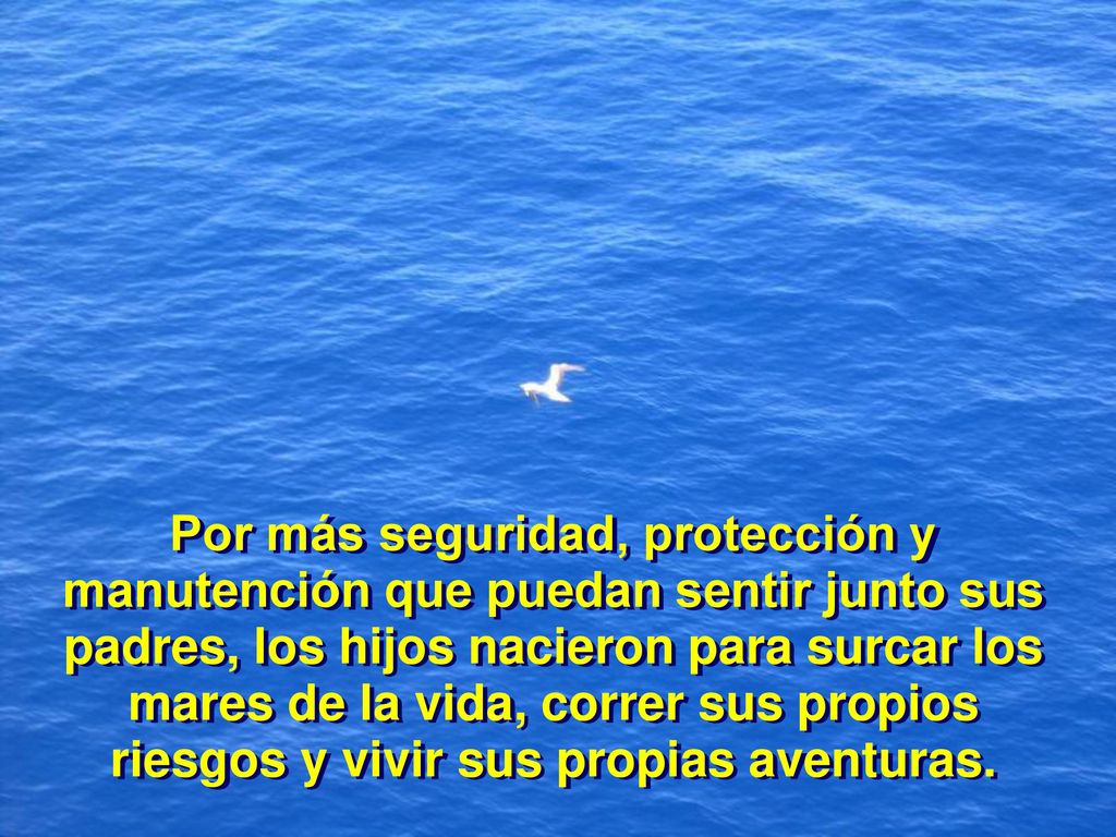 Por más seguridad, protección y manutención que puedan sentir junto sus padres, los hijos nacieron para surcar los mares de la vida, correr sus propios riesgos y vivir sus propias aventuras.