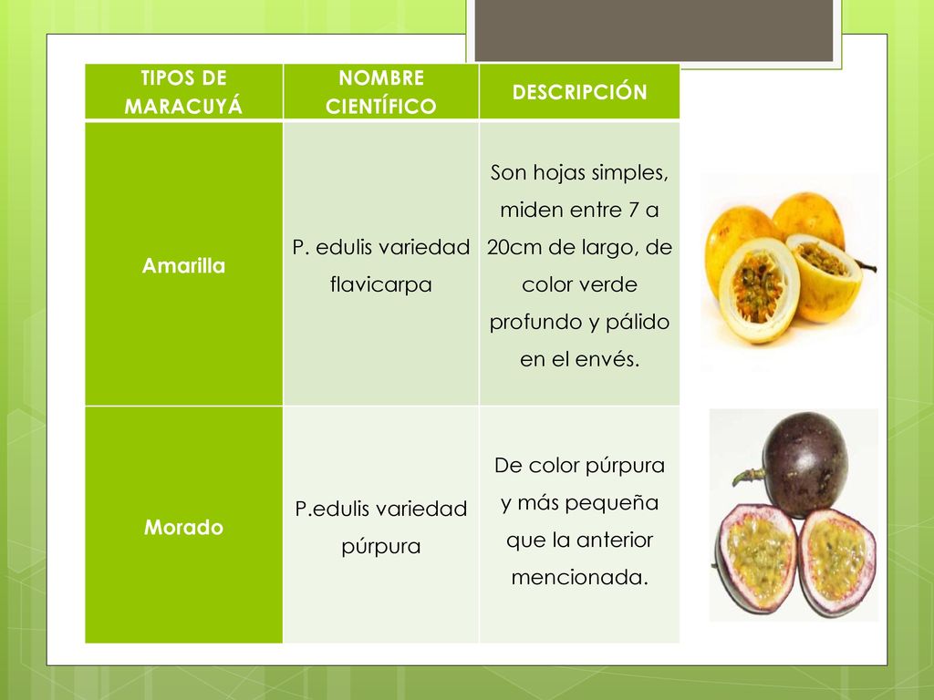 TIPOS DE MARACUYÁ NOMBRE CIENTÍFICO DESCRIPCIÓN Amarilla Morado