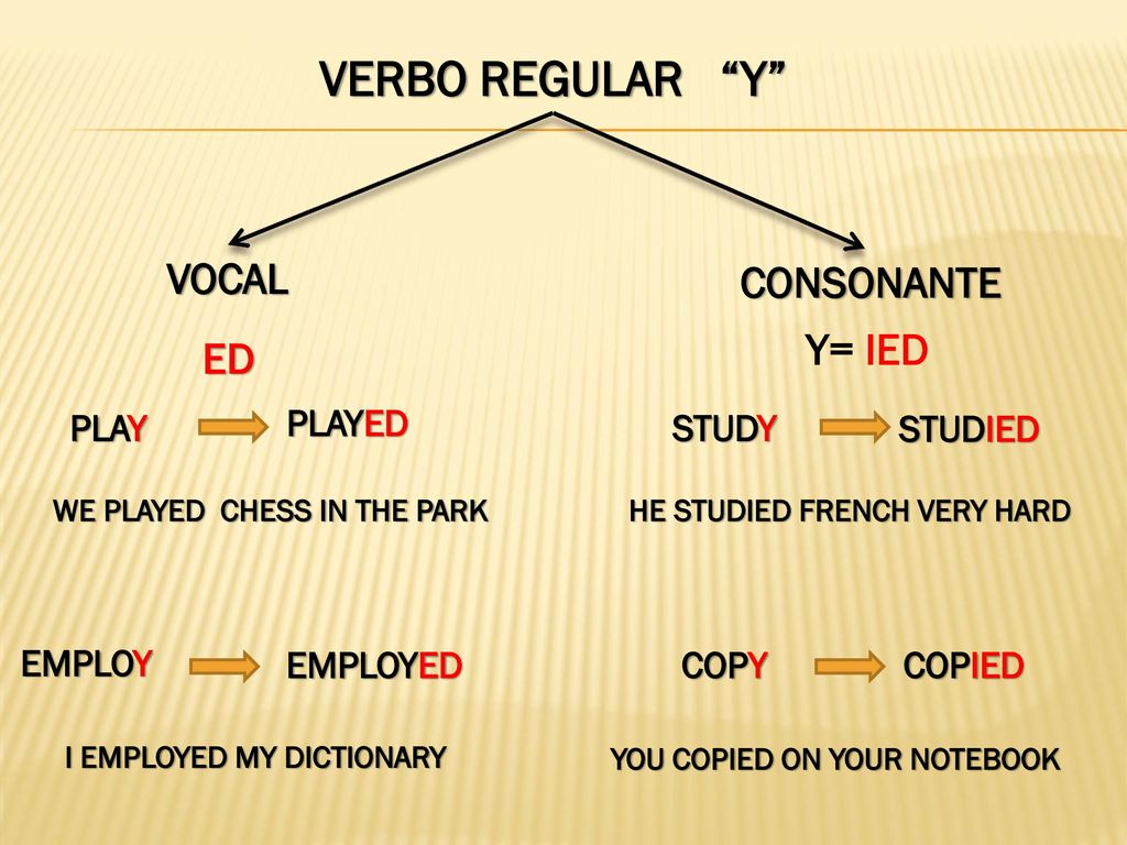 VERBO REGULAR Y VOCAL CONSONANTE Y= IED ED PLAY PLAYED STUDY STUDIED