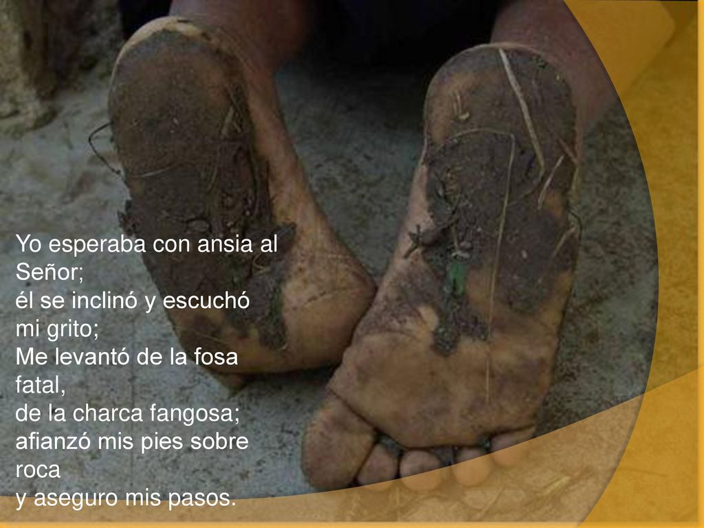 Yo esperaba con ansia al Señor; él se inclinó y escuchó mi grito; Me levantó de la fosa fatal, de la charca fangosa; afianzó mis pies sobre roca y aseguro mis pasos.