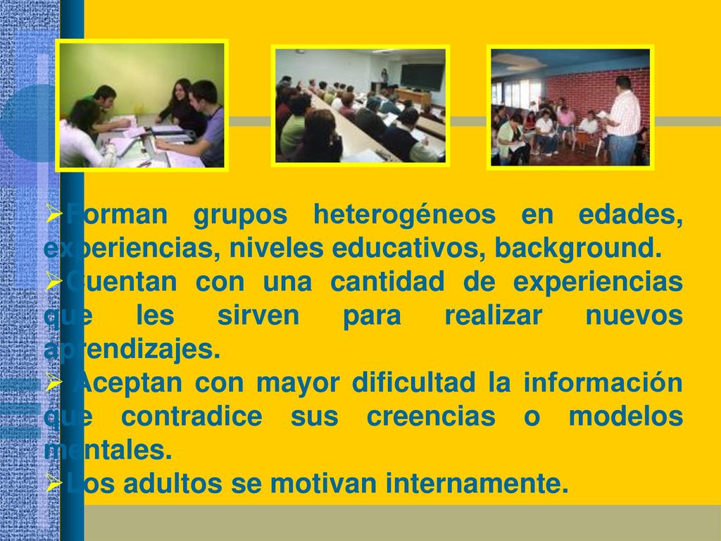 Forman grupos heterogéneos en edades, experiencias, niveles educativos, background.