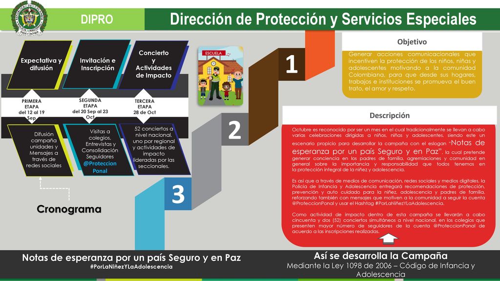 1 2 3 Dirección de Protección y Servicios Especiales DIPRO Cronograma