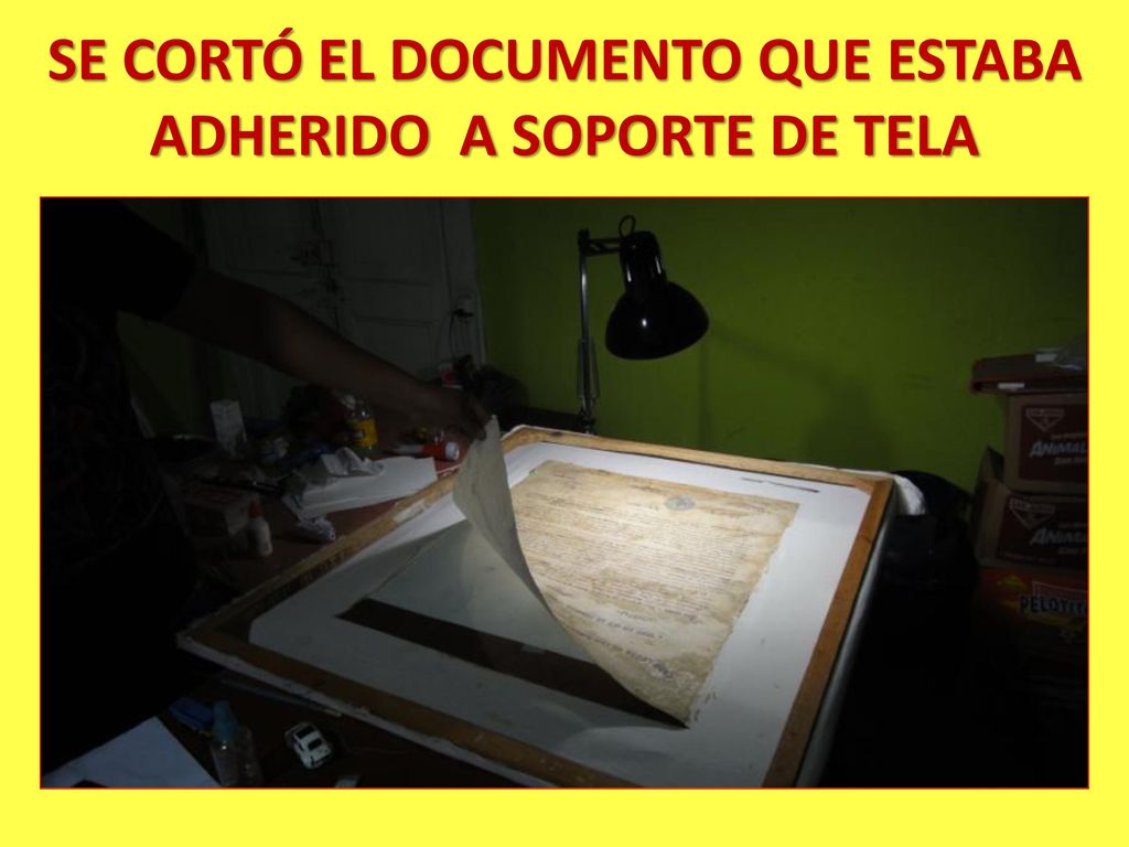 SE CORTÓ EL DOCUMENTO QUE ESTABA ADHERIDO A SOPORTE DE TELA