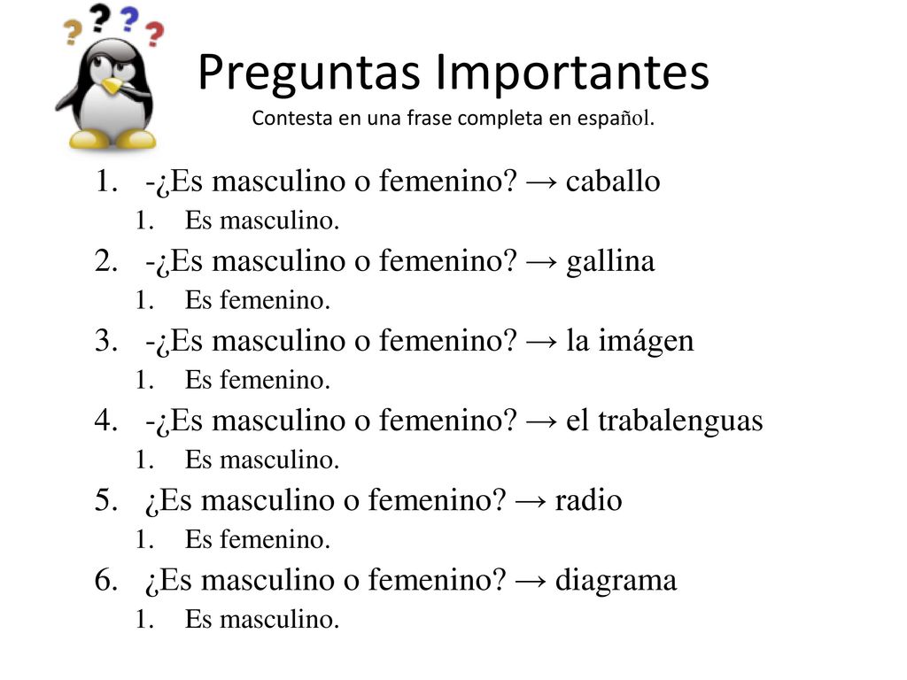 Preguntas Importantes Contesta en una frase completa en español.