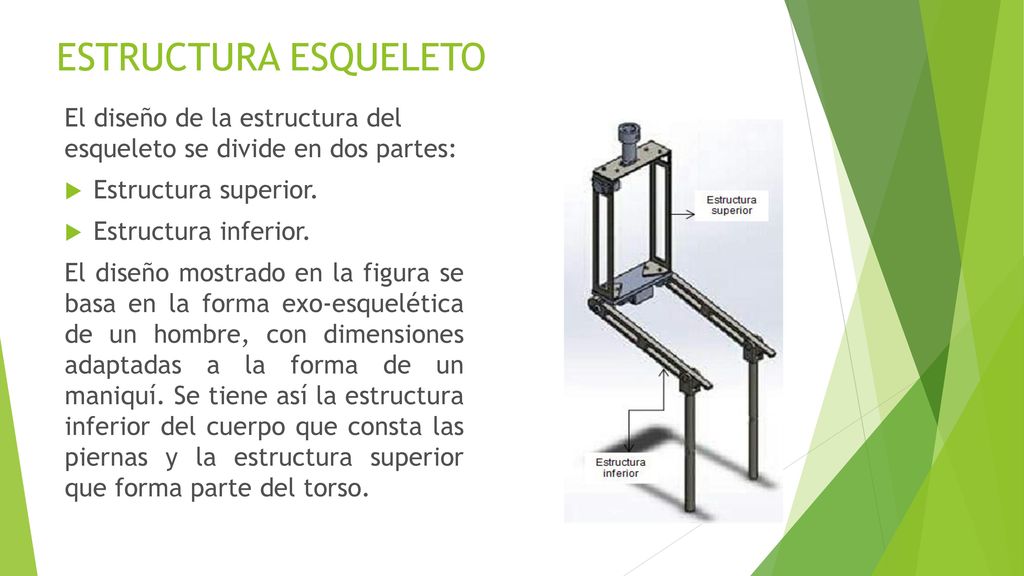 ESTRUCTURA ESQUELETO El diseño de la estructura del esqueleto se divide en dos partes: Estructura superior.