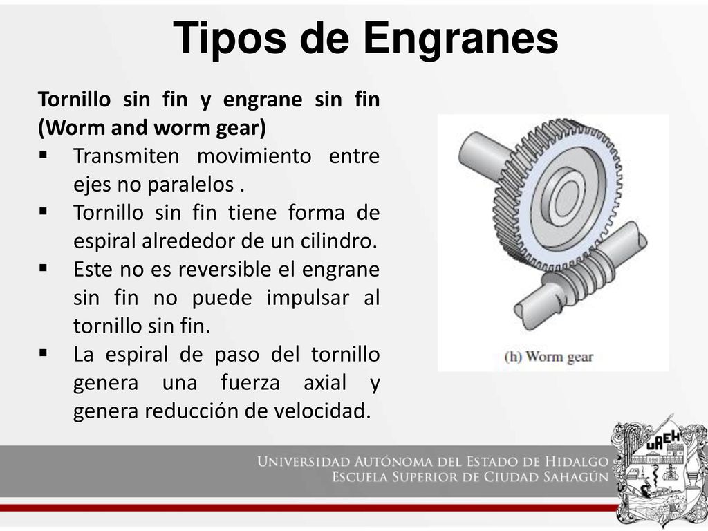 Tipos de Engranes Tornillo sin fin y engrane sin fin (Worm and worm gear) Transmiten movimiento entre ejes no paralelos .