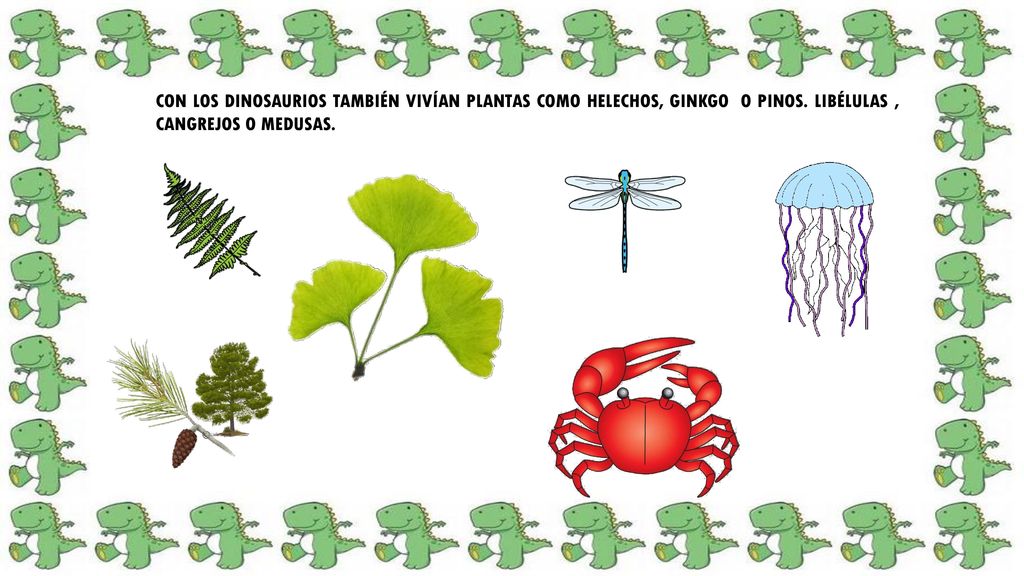 CON LOS DINOSAURIOS TAMBIÉN VIVÍAN PLANTAS COMO HELECHOS, GINKGO O PINOS.
