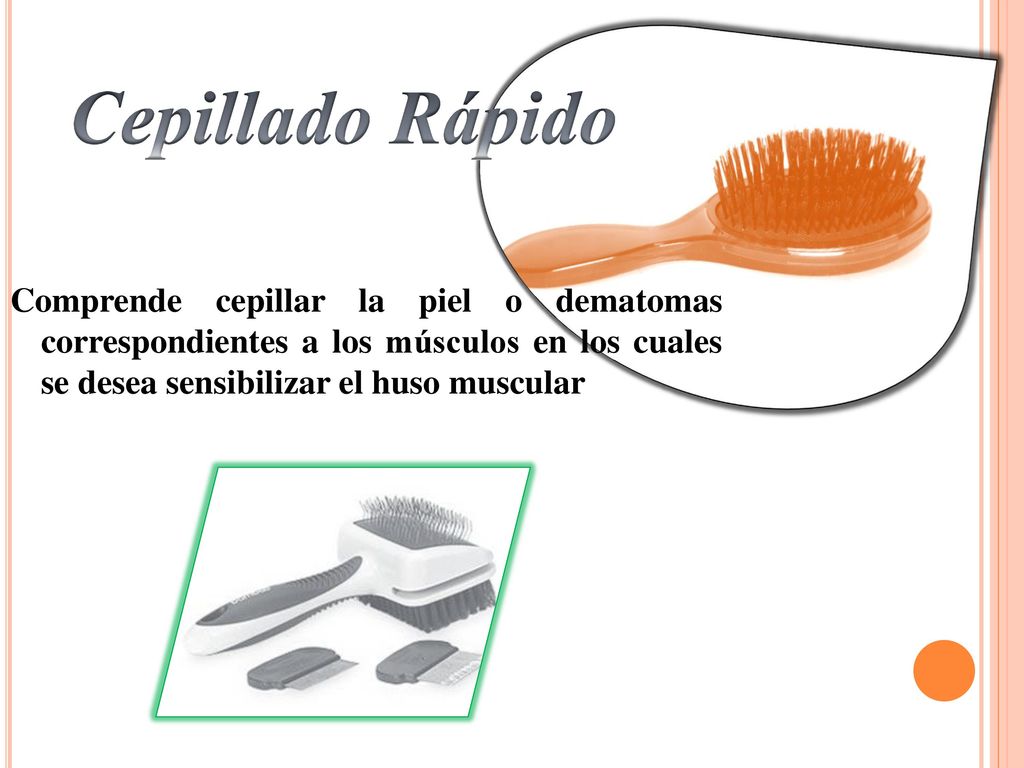 Cepillado Rápido Comprende cepillar la piel o dematomas correspondientes a los músculos en los cuales se desea sensibilizar el huso muscular.
