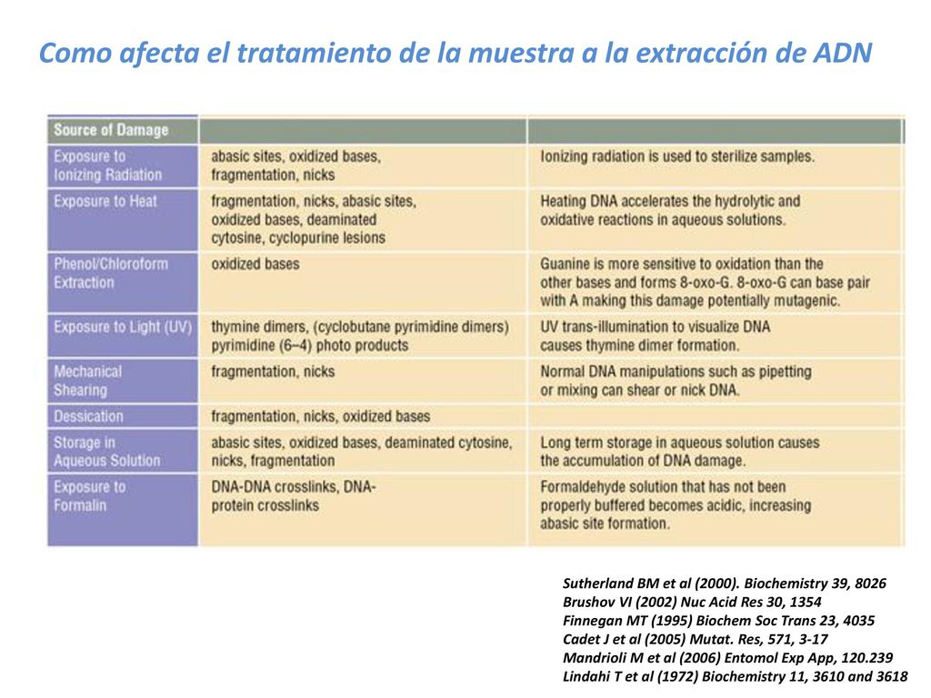 Generalidades Aspectos clave a tener en cuenta Puntos de mejora de las determinaciones moleculares