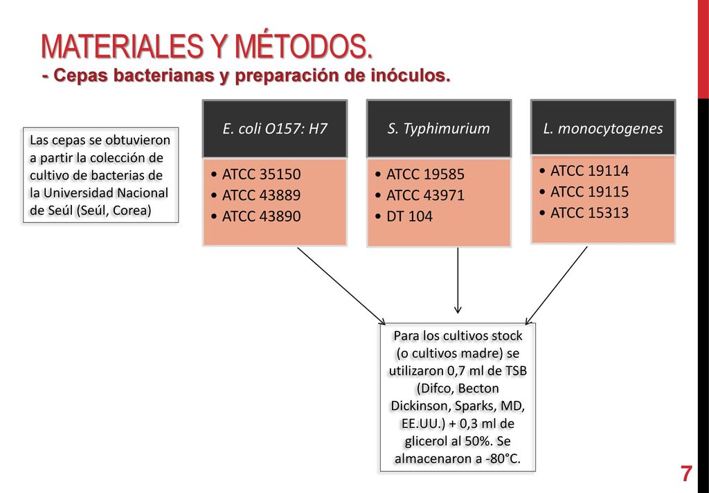 Materiales y métodos. - Cepas bacterianas y preparación de inóculos.