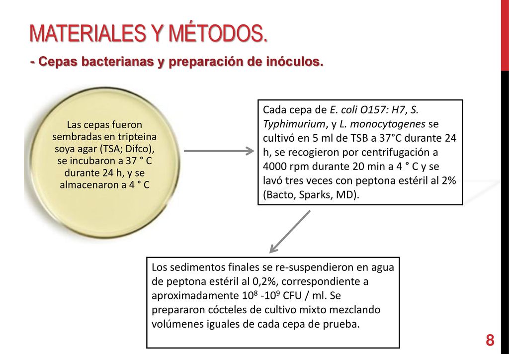 Materiales y métodos. - Cepas bacterianas y preparación de inóculos.