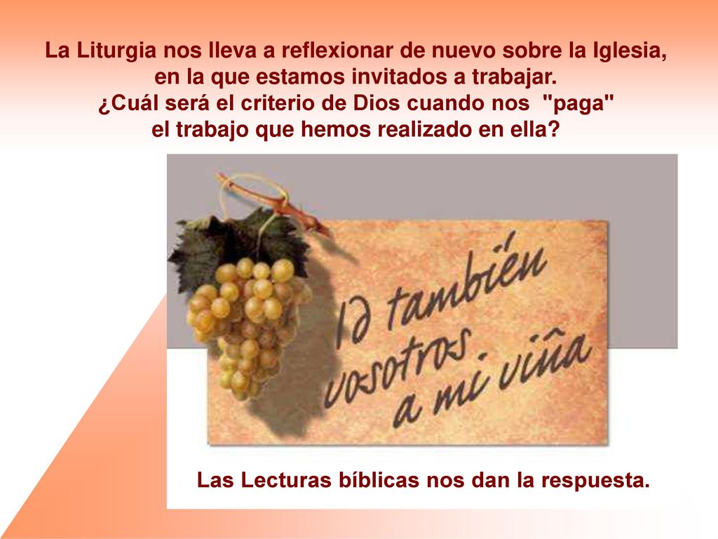 La Liturgia nos lleva a reflexionar de nuevo sobre la Iglesia,