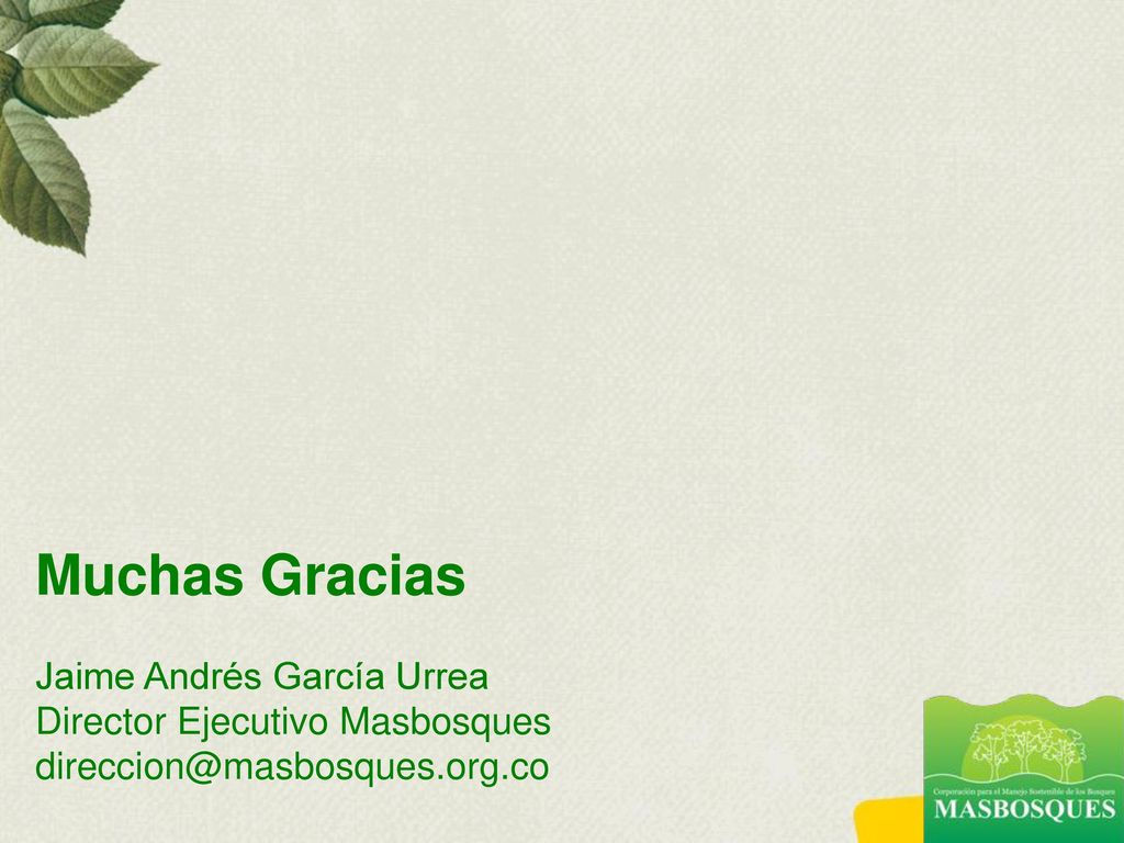Muchas Gracias Jaime Andrés García Urrea Director Ejecutivo Masbosques