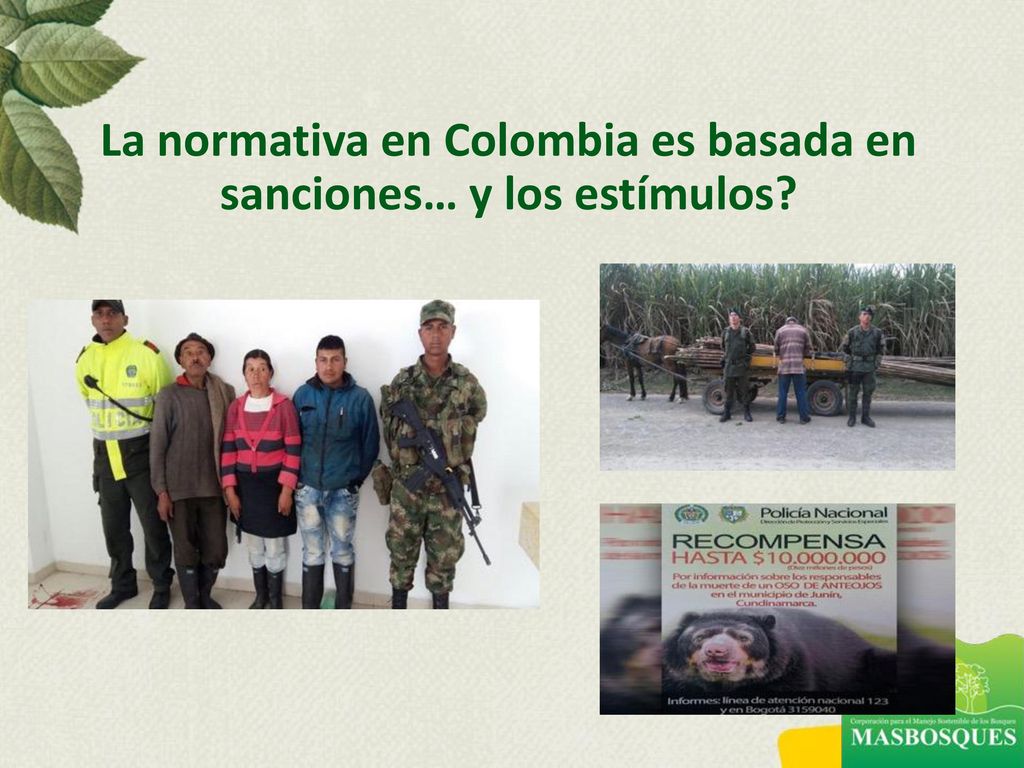 La normativa en Colombia es basada en sanciones… y los estímulos