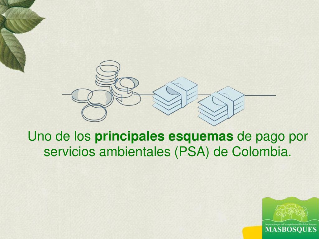 Uno de los principales esquemas de pago por servicios ambientales (PSA) de Colombia.