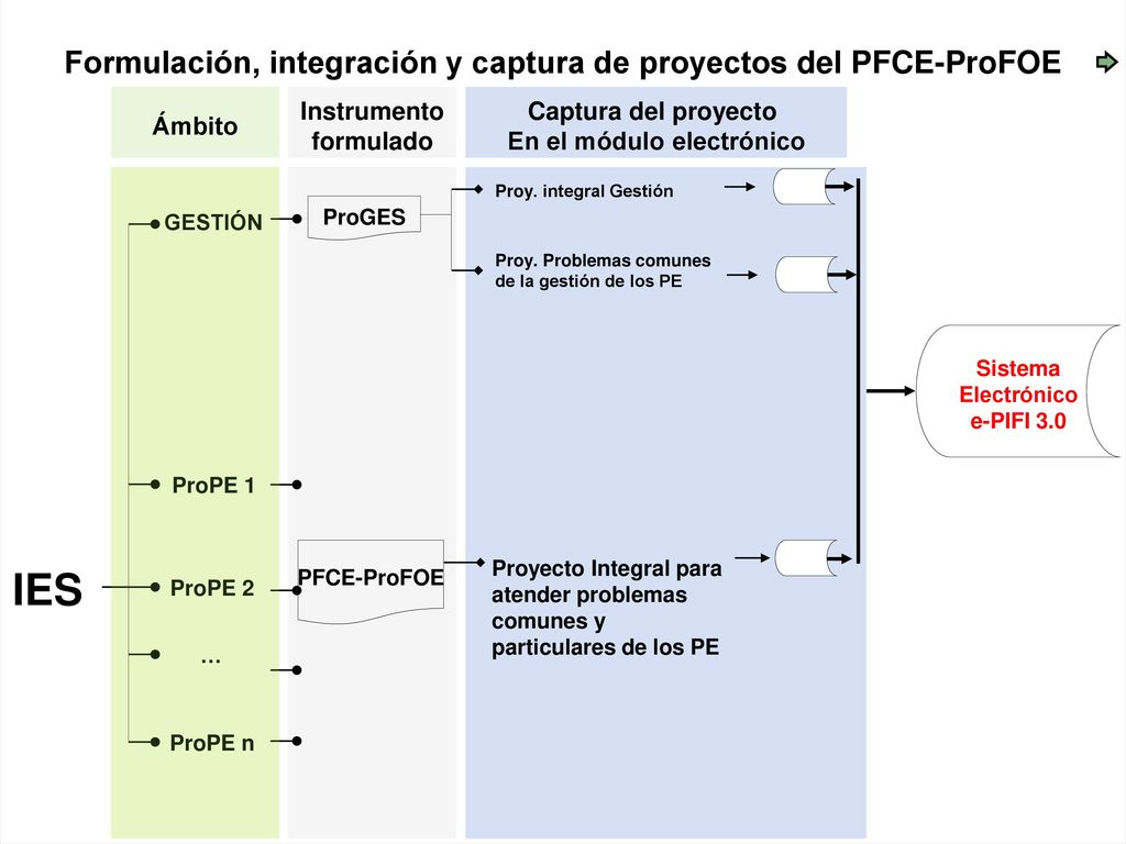 IES Formulación, integración y captura de proyectos del PFCE-ProFOE