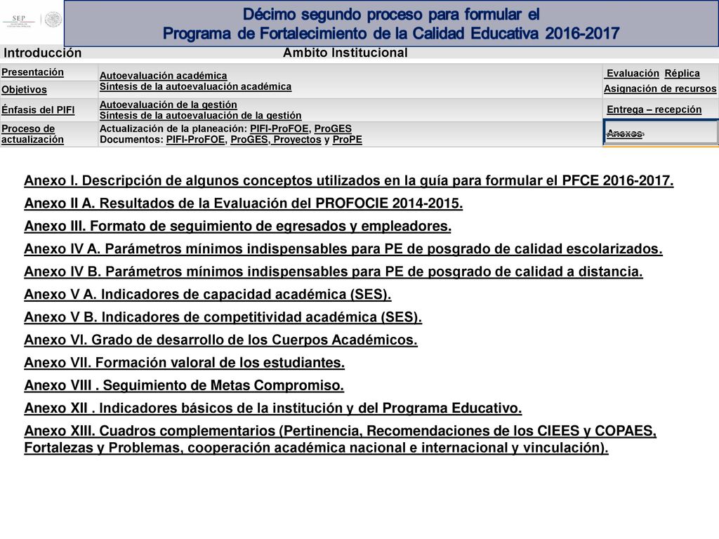Anexo I. Descripción de algunos conceptos utilizados en la guía para formular el PFCE