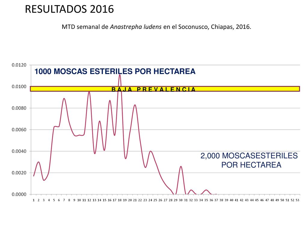 MTD semanal de Anastrepha ludens en el Soconusco, Chiapas, 2016.