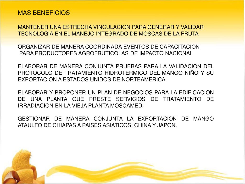 MAS BENEFICIOS MANTENER UNA ESTRECHA VINCULACION PARA GENERAR Y VALIDAR. TECNOLOGIA EN EL MANEJO INTEGRADO DE MOSCAS DE LA FRUTA.
