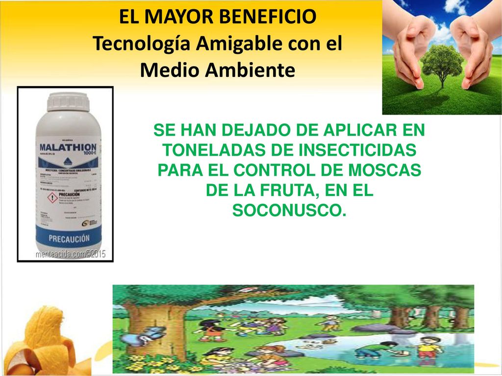 Tecnología Amigable con el Medio Ambiente SE HAN DEJADO DE APLICAR EN