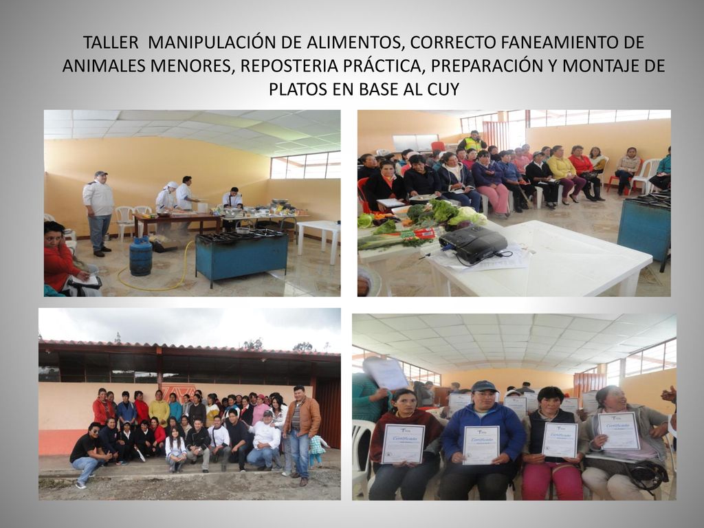 TALLER MANIPULACIÓN DE ALIMENTOS, CORRECTO FANEAMIENTO DE ANIMALES MENORES, REPOSTERIA PRÁCTICA, PREPARACIÓN Y MONTAJE DE PLATOS EN BASE AL CUY