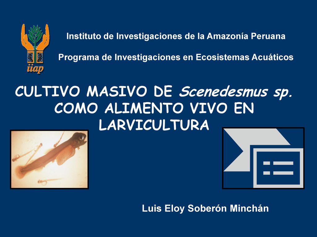CULTIVO MASIVO DE Scenedesmus sp. COMO ALIMENTO VIVO EN LARVICULTURA