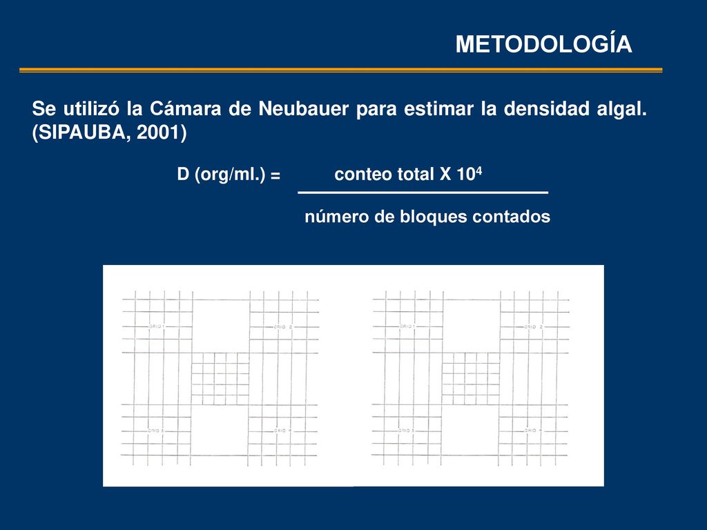 METODOLOGÍA Se utilizó la Cámara de Neubauer para estimar la densidad algal. (SIPAUBA, 2001) D (org/ml.) = conteo total X 104.