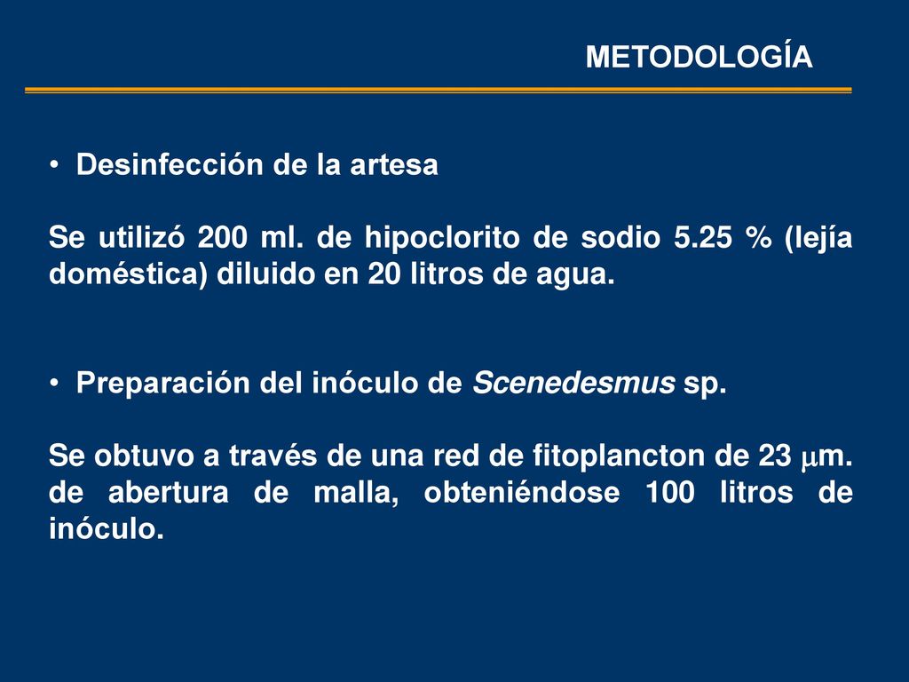 METODOLOGÍA Desinfección de la artesa. Se utilizó 200 ml. de hipoclorito de sodio 5.25 % (lejía doméstica) diluido en 20 litros de agua.