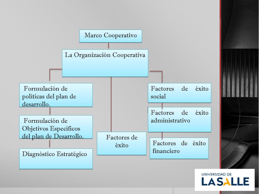 Marco Cooperativo La Organización Cooperativa. Formulación de políticas del plan de desarrollo. Factores de éxito social.