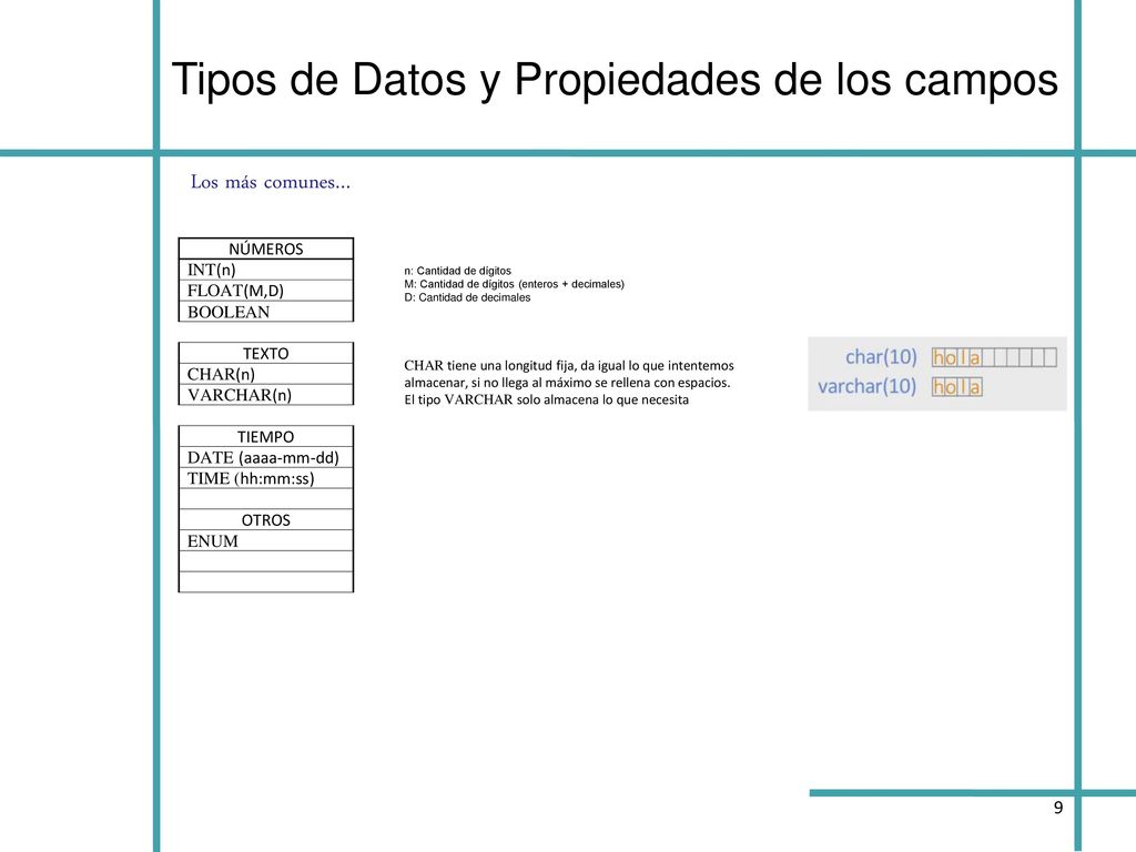 Tipos de Datos y Propiedades de los campos