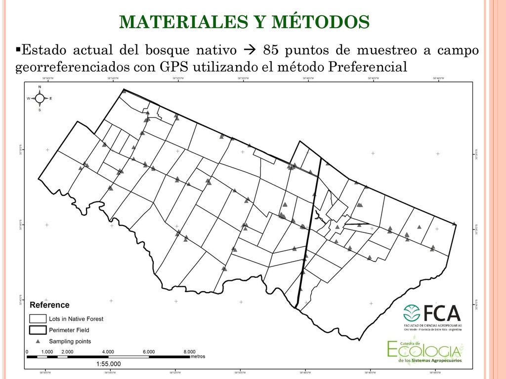MATERIALES Y MÉTODOS Estado actual del bosque nativo  85 puntos de muestreo a campo georreferenciados con GPS utilizando el método Preferencial.