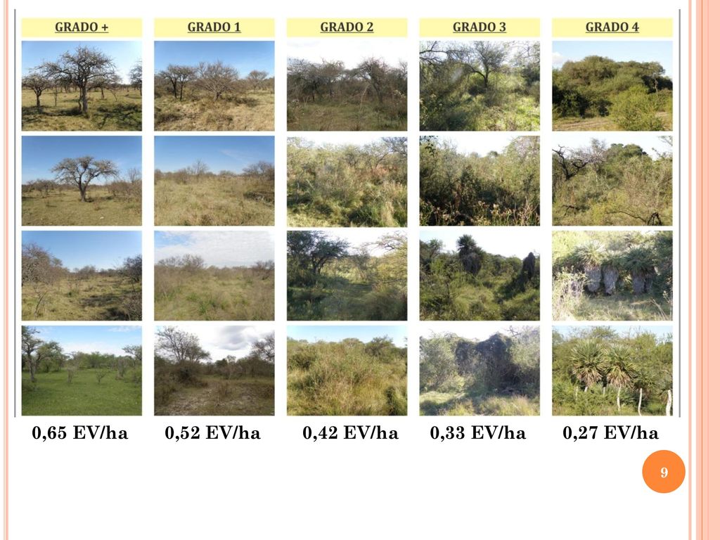 0,65 EV/ha 0,52 EV/ha 0,42 EV/ha 0,33 EV/ha 0,27 EV/ha