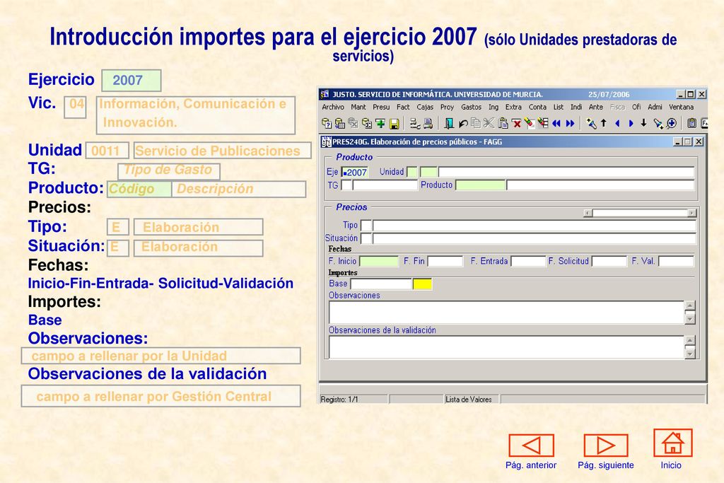 Introducción importes para el ejercicio 2007 (sólo Unidades prestadoras de servicios)