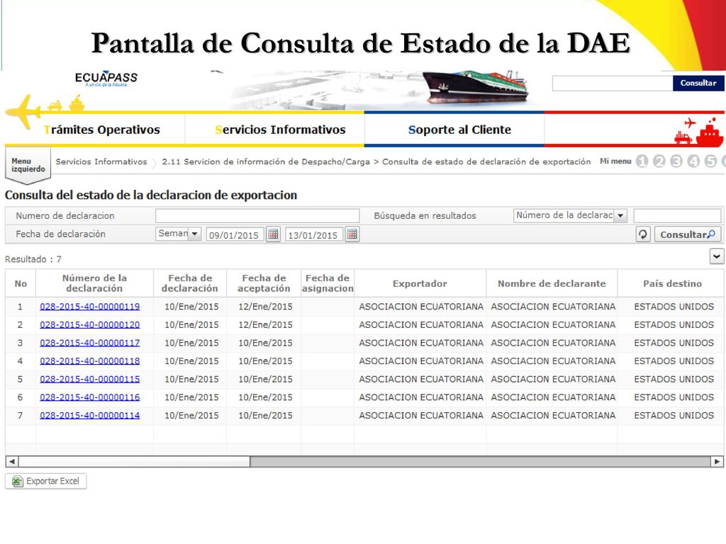 Pantalla de Consulta de Estado de la DAE