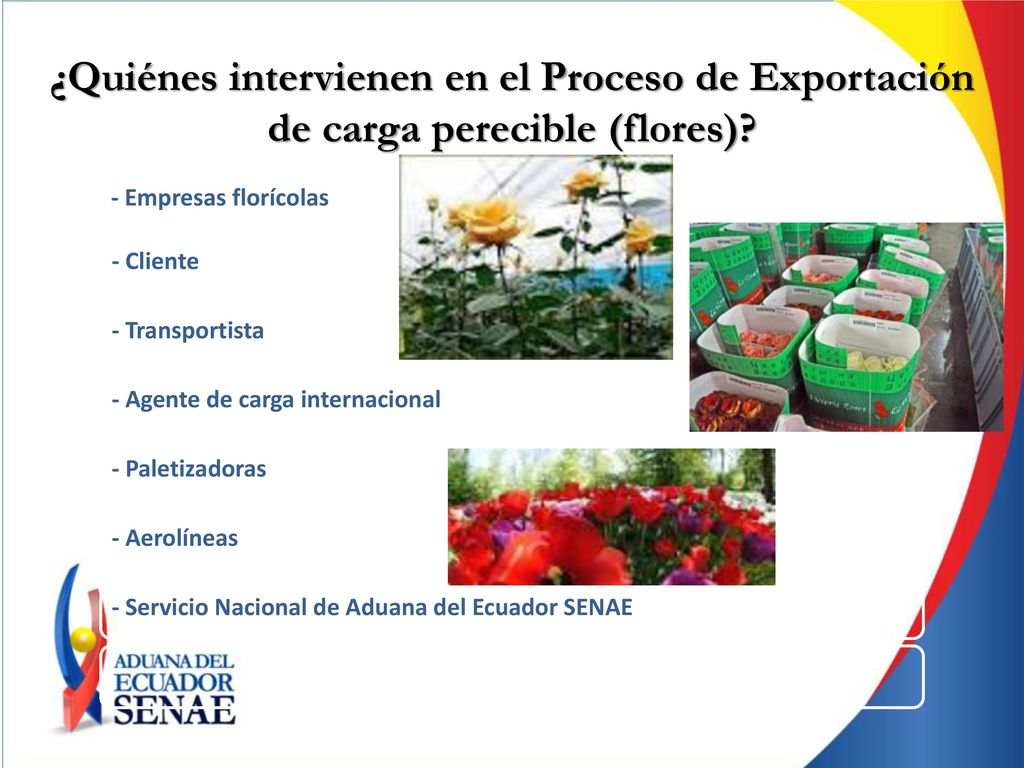 ¿Quiénes intervienen en el Proceso de Exportación de carga perecible (flores)