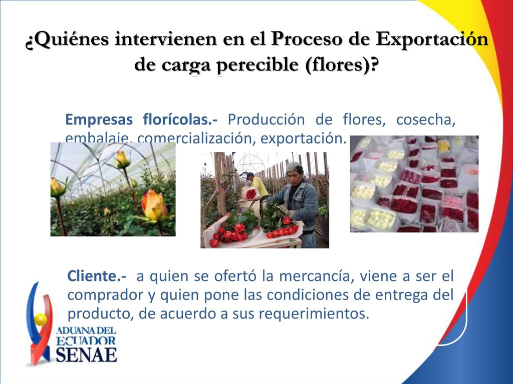¿Quiénes intervienen en el Proceso de Exportación de carga perecible (flores)
