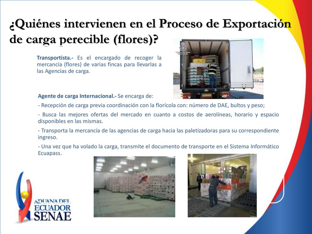 ¿Quiénes intervienen en el Proceso de Exportación de carga perecible (flores)