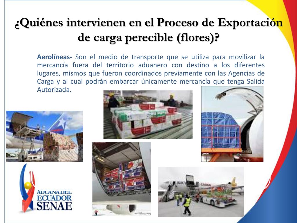 ¿Quiénes intervienen en el Proceso de Exportación de carga perecible (flores)