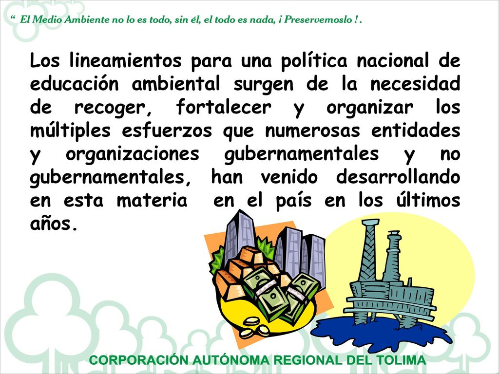Los lineamientos para una política nacional de educación ambiental surgen de la necesidad de recoger, fortalecer y organizar los múltiples esfuerzos que numerosas entidades y organizaciones gubernamentales y no gubernamentales, han venido desarrollando en esta materia en el país en los últimos años.