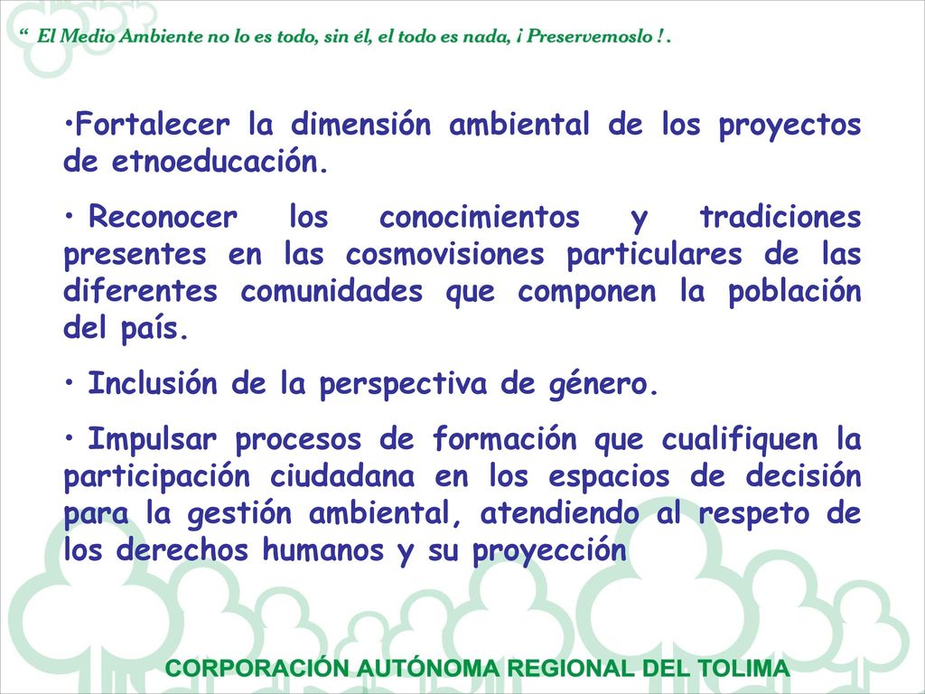 Fortalecer la dimensión ambiental de los proyectos de etnoeducación.