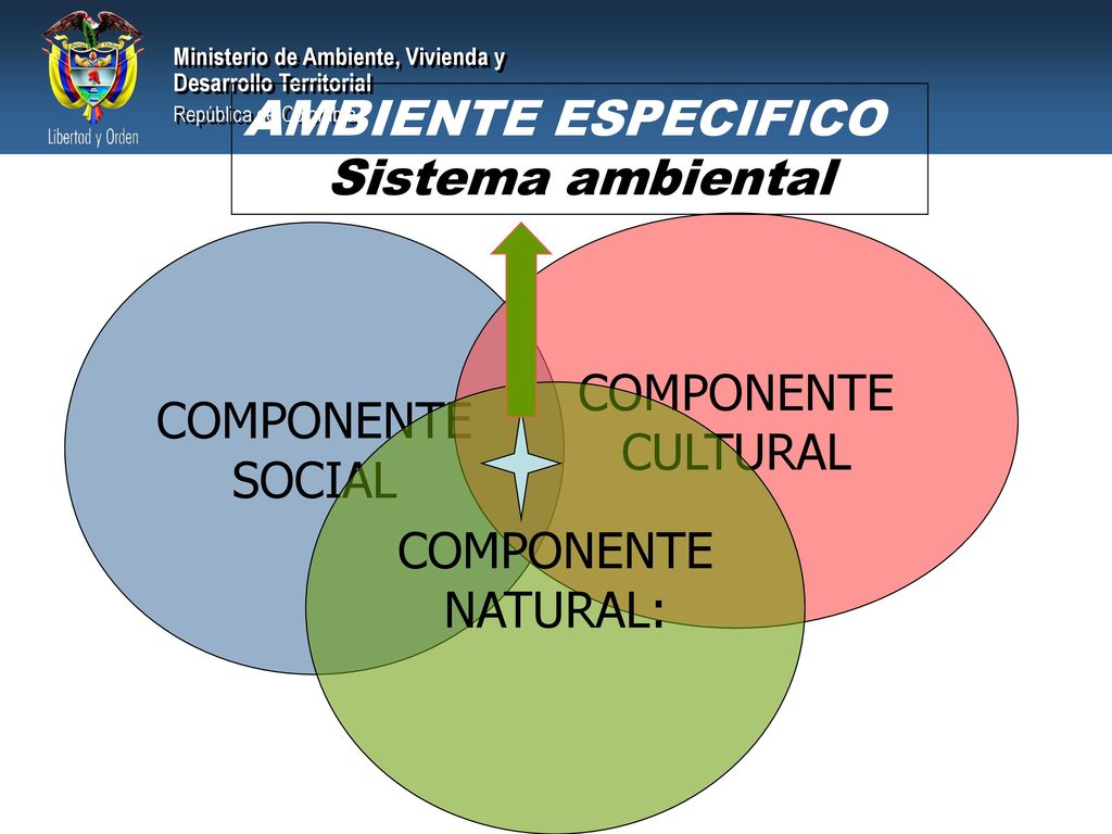 AMBIENTE ESPECIFICO Sistema ambiental COMPONENTE CULTURAL COMPONENTE SOCIAL COMPONENTE NATURAL: