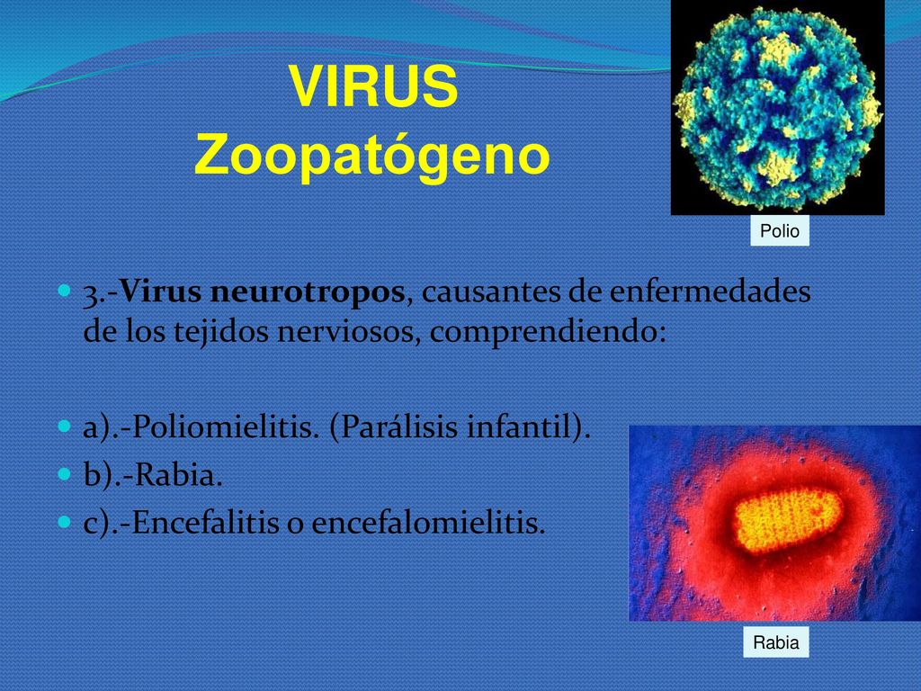 VIRUS Zoopatógeno Polio. 3.-Virus neurotropos, causantes de enfermedades de los tejidos nerviosos, comprendiendo: