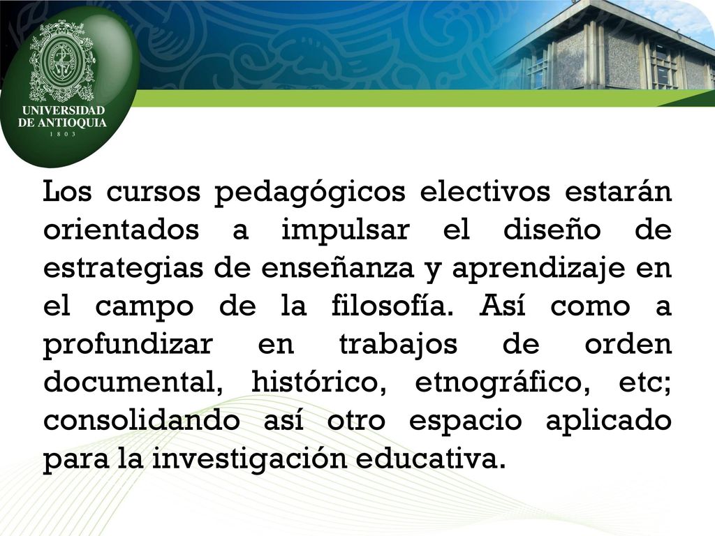 Los cursos pedagógicos electivos estarán orientados a impulsar el diseño de estrategias de enseñanza y aprendizaje en el campo de la filosofía.
