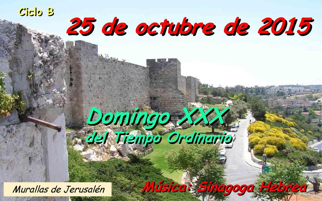 25 de octubre de 2015 Domingo XXX del Tiempo Ordinario