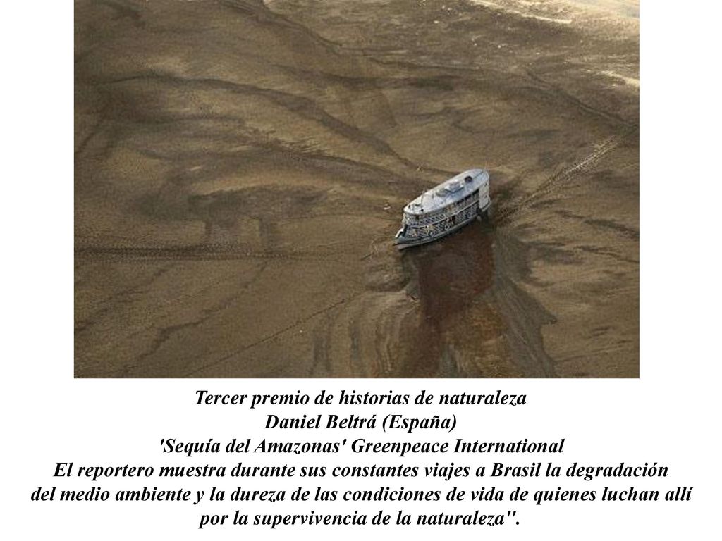 Tercer premio de historias de naturaleza Daniel Beltrá (España) Sequía del Amazonas Greenpeace International El reportero muestra durante sus constantes viajes a Brasil la degradación del medio ambiente y la dureza de las condiciones de vida de quienes luchan allí por la supervivencia de la naturaleza .