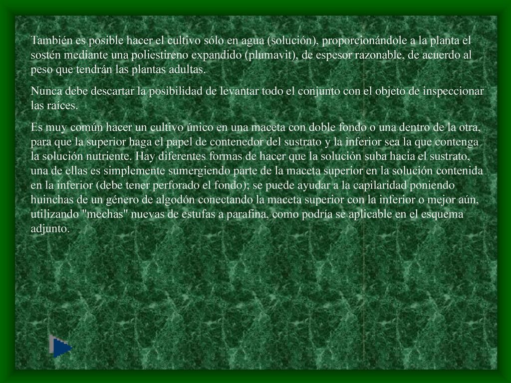 También es posible hacer el cultivo sólo en agua (solución), proporcionándole a la planta el sostén mediante una poliestireno expandido (plumavit), de espesor razonable, de acuerdo al peso que tendrán las plantas adultas.